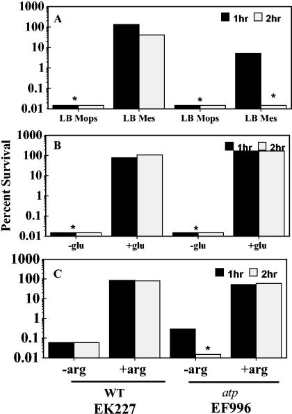 FIG. 2.