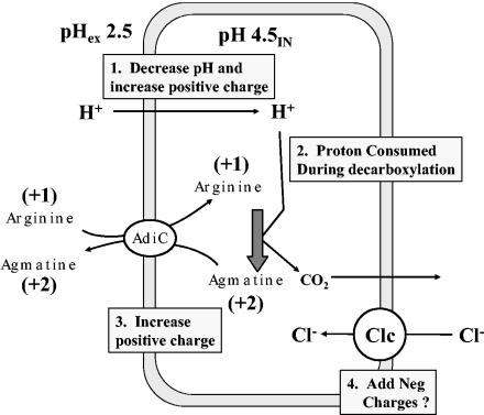 FIG. 6.