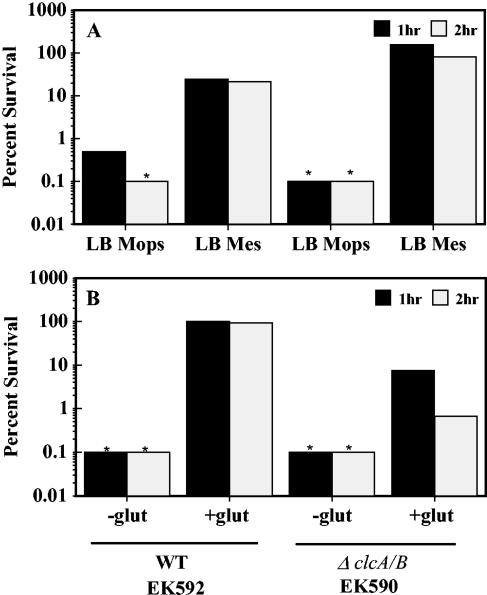 FIG. 1.