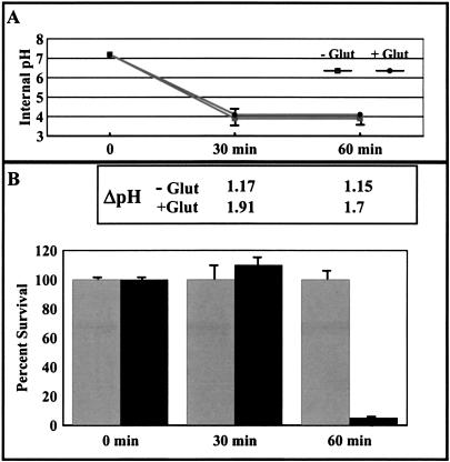 FIG. 5.