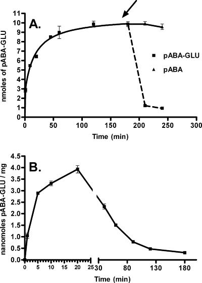 FIG. 5.