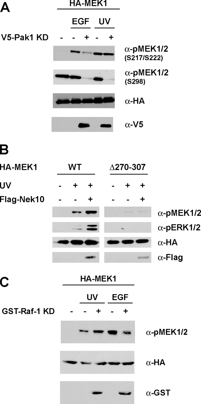 FIG. 8.