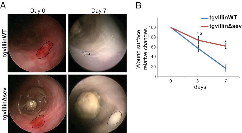 Fig. 3.