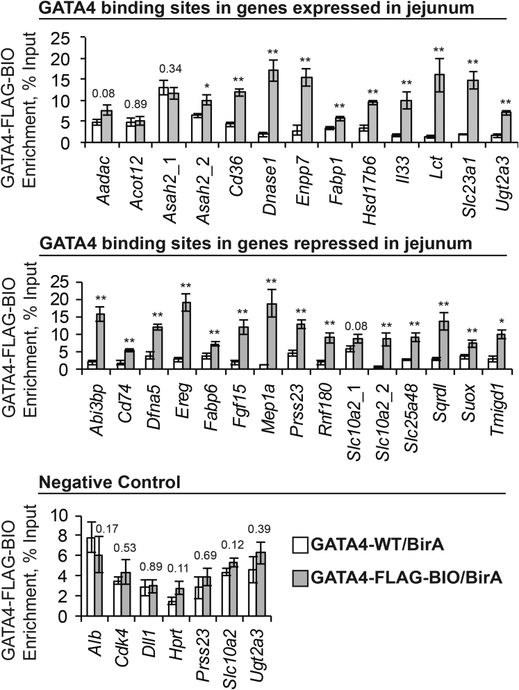 Figure 6