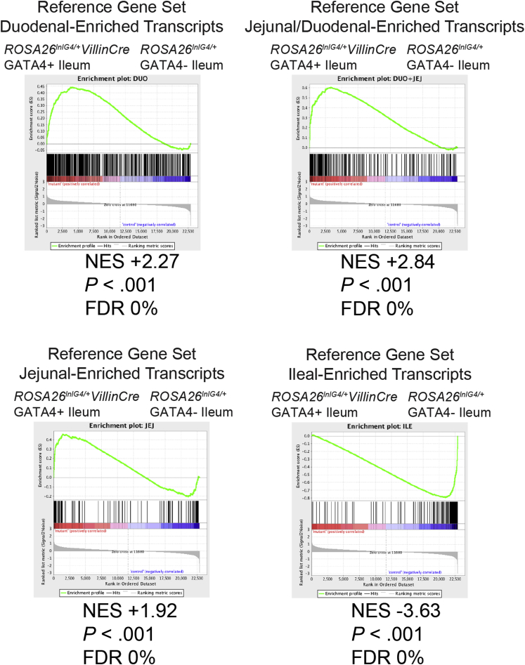 Figure 4