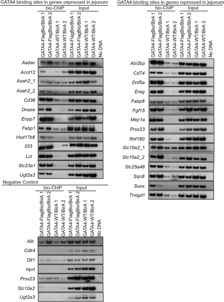 Figure 7