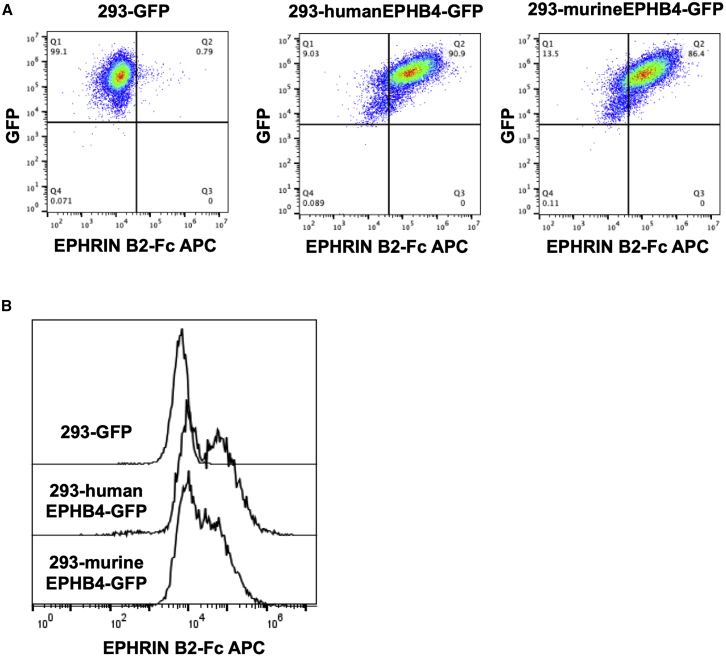 Figure 5