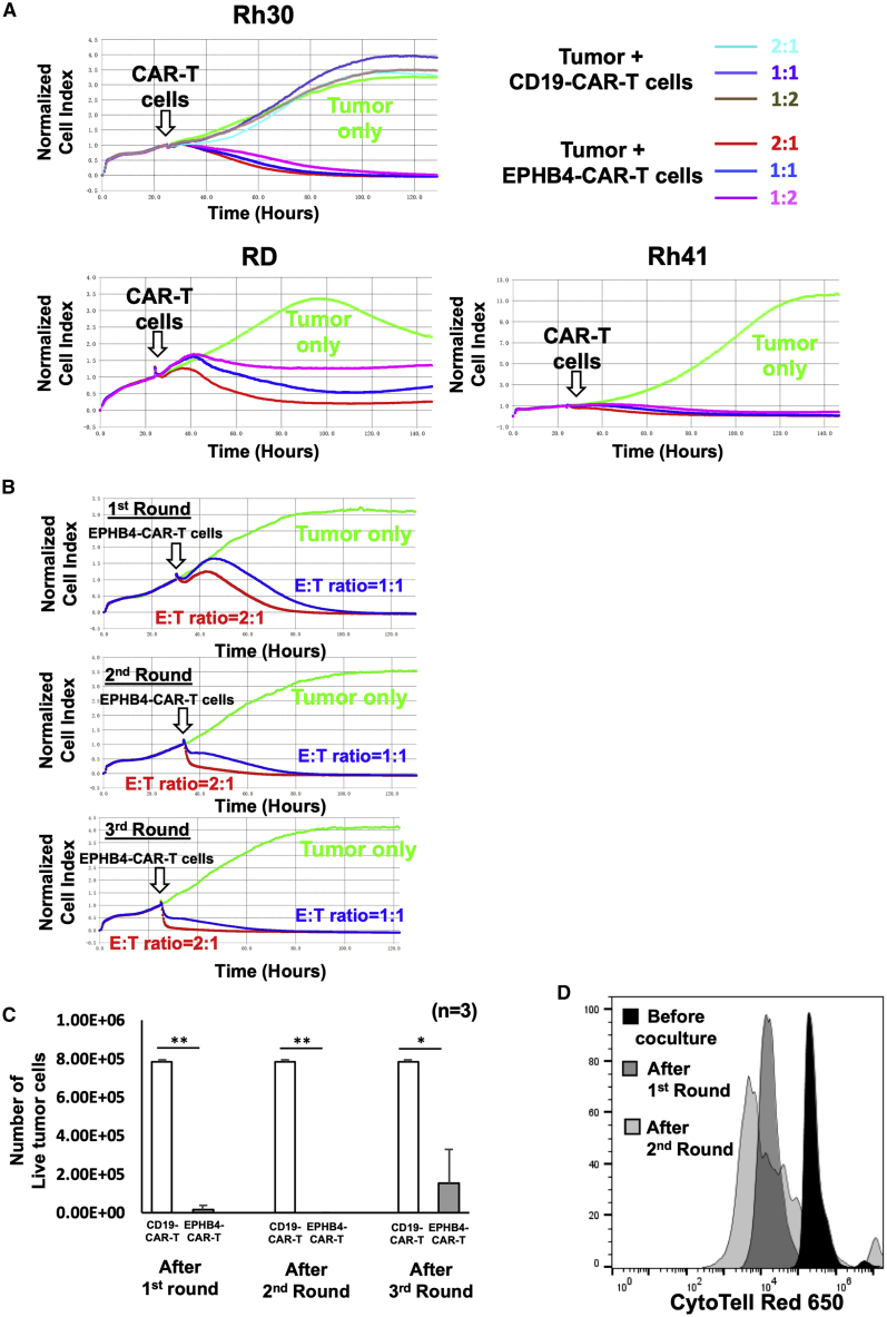 Figure 2