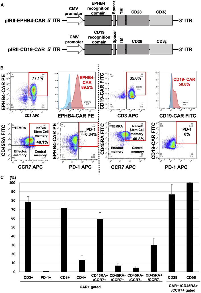 Figure 1