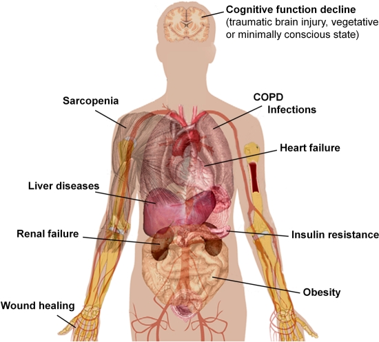 Figure 3.