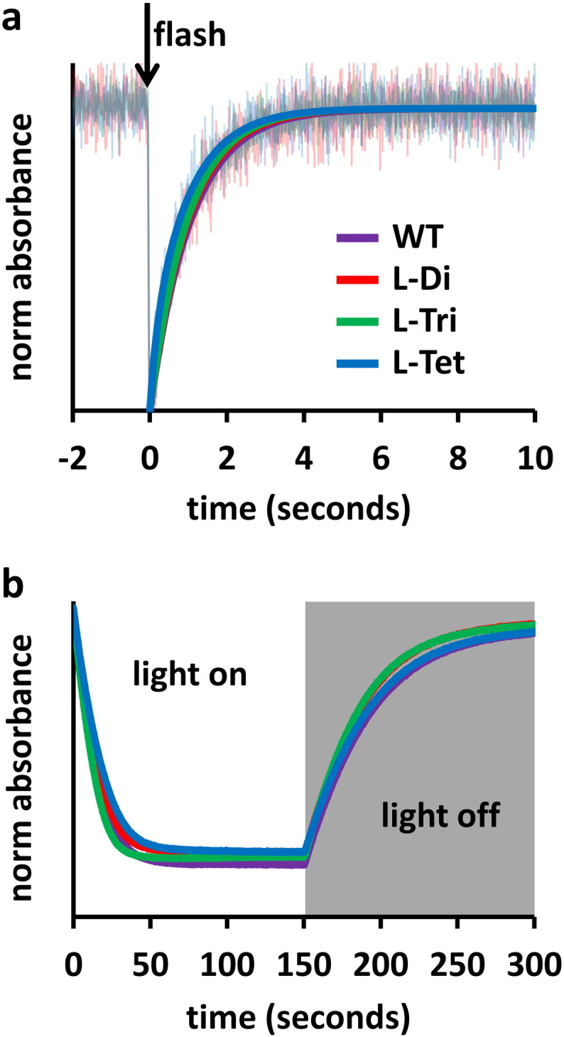 Fig. 3