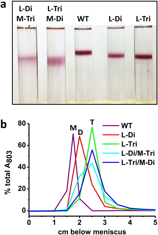 Fig. 8