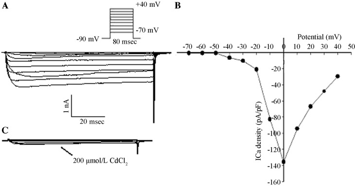 Figure 2.