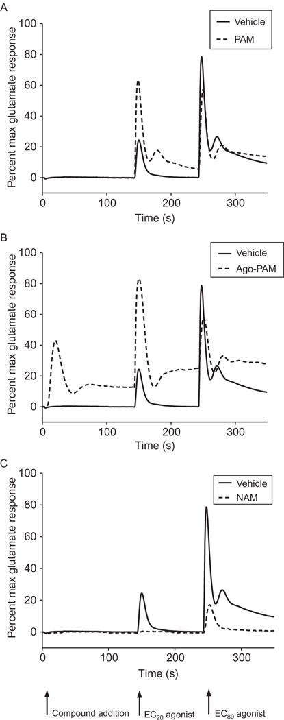 Figure 1.3