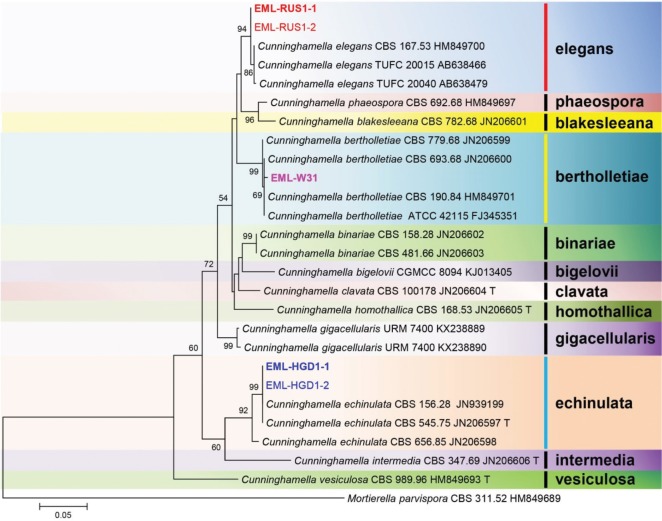 Fig. 2