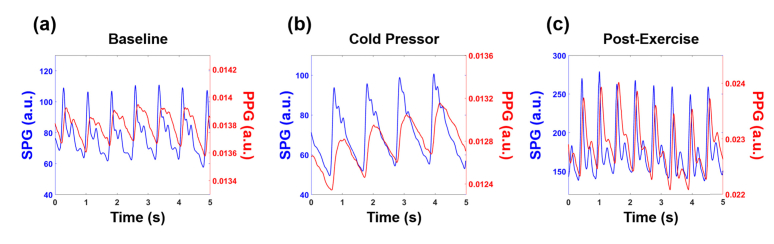 Fig. 10