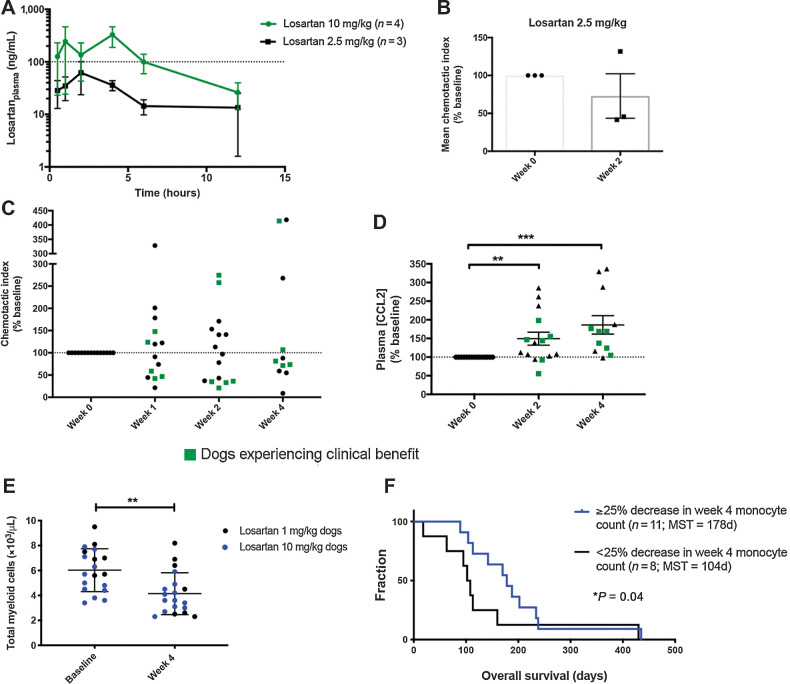 Figure 3. Dose-escalation of losartan in healthy and OS metastasis-bearing dogs is associated with modulation of CCL2–CCR2 pharmacodynamic endpoints. A, Mean (±SEM) plasma losartan concentration over time following oral administration of losartan at 2.5 or 10 mg/kg twice daily for 14 consecutive days (n = 3 or 4 dogs/group). B, Pharmacodynamic assessment of ex vivo CCL2-directed monocyte migration pre- and 14 days post-dosing of losartan at 2.5 mg/kg twice daily in healthy dogs. C, Pharmacodynamic assessment of ex vivo CCL2-directed monocyte migration pre- and 7, 14, and 28 days post-oral dosing of losartan (10 mg/kg twice daily) plus toceranib (2.75 mg/kg EOD; day 28) in OS-bearing dogs. D, Plasma CCL2 concentration at week 0 and weeks 2 and 4 post-losartan 10 mg/kg dosing, as measured by ELISA (expressed as % of week 0 baseline). E, Peripheral blood total myeloid cell counts (combined absolute monocyte and neutrophil counts) at baseline and week 4 post-losartan treatment. F, Kaplan–Meier curve comparing overall survival in dogs experiencing a greater than 25% decrease in week 4 posttreatment total monocyte counts below baseline (n = 11), versus those that did not (n = 8), for evaluable dogs in both the 1 and 10 mg/kg cohorts (P = 0.04, Gehan–Breslow–Wilcoxon test). Results for B and C represent the mean chemotactic index (fold-change of CCL2-directed migration over negative control wells), as percentage of week 0 baseline. Data expressed as means ± SEM and were analyzed by a two-tailed paired t test (n = 15–17 dogs/group/time-point; **, P < 0.01; ***, P < 0.001).