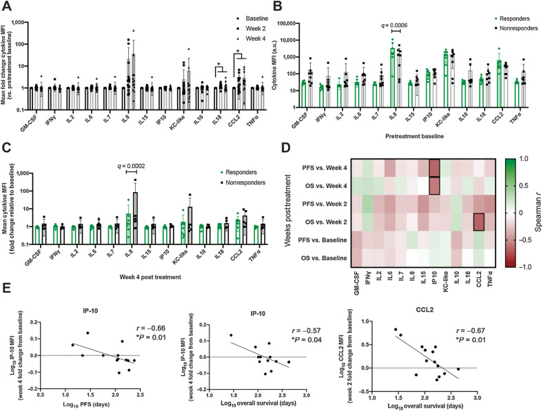 Figure 5. Multiplex cytokine profiling of patient peripheral blood for evaluation of immune correlates associated with response to losartan therapy. A, Mean fold change in peripheral blood cytokine median fluorescence intensity (MFI) at 2 and 4 weeks post-losartan treatment for evaluable patients in the high-dose losartan (10 mg/kg) cohort (n = 13–16 dogs/timepoint). P value calculated by mixed-effects analysis with Benjamini, Krieger, and Yekutieli multicomparison correction (FDR q value). *, q = 0.01 (IL18 week-2 vs. baseline), q = 0.07 (IL18 week-4 vs. baseline), q = 0.03 (CCL2 week-2 and week-4 vs. baseline). B, Comparison of baseline pretreatment mean peripheral blood cytokine MFI values in responders (dogs experiencing clinical benefit, n = 8) versus nonresponders (n = 8) in the high-dose losartan (10 mg/kg) cohort. P value calculated by multiple unpaired t test with Benjamini, Krieger, and Yekutieli multicomparison correction, FDR q = 0.0006 (IL8). C, Mean fold change, relative to pretreatment baseline, in peripheral blood cytokine MFI values at 4 weeks post-losartan treatment, in responders (dogs experiencing clinical benefit, n = 8) versus nonresponders (n = 5) in the high-dose losartan (10 mg/kg) cohort. P value calculated by multiple unpaired t test with Benjamini, Krieger, and Yekutieli multicomparison correction, FDR q = 0.0002 (IL8). D, Correlation matrix between peripheral blood cytokine levels at baseline, week 2, and week 4 posttreatment with patient PFS and overall survival. Spearman r values, green = 1, or strong positive correlation; red = −1 or strong negative correlation; white = 0, no correlation. Outlined boxes indicate Spearman P < 0.05. E, Individual Spearman correlation plots for those cytokines significantly correlated with clinical outcome, as outlined in D.