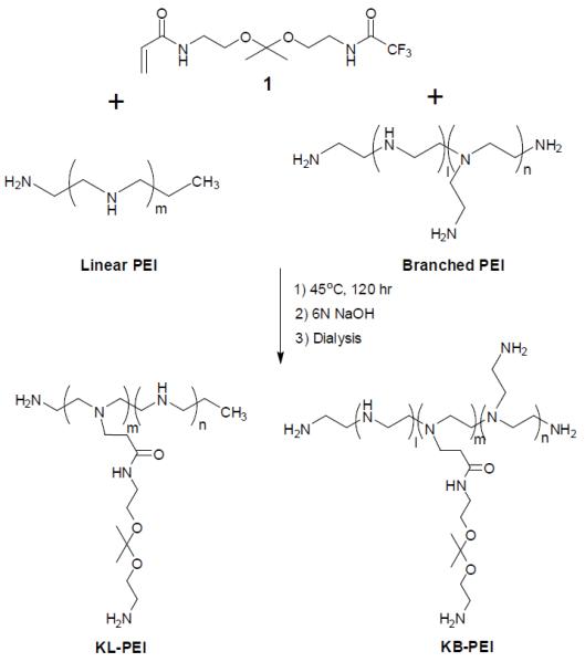 Scheme 1