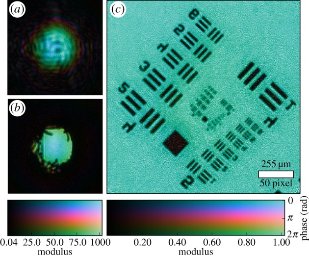 Figure 5.