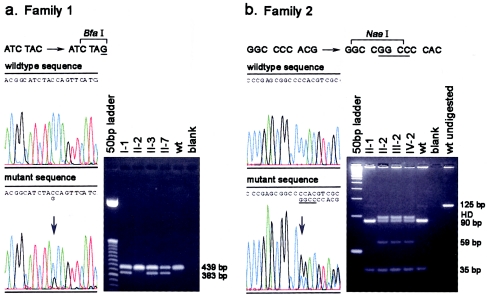 Figure  4