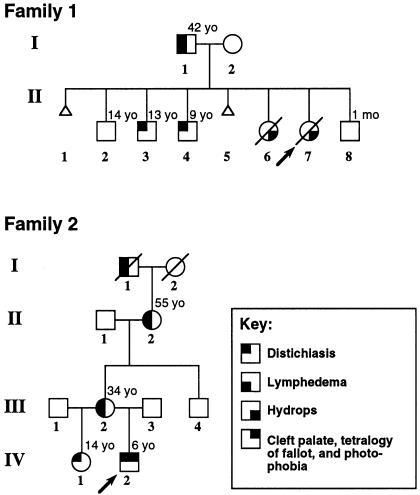 Figure  3