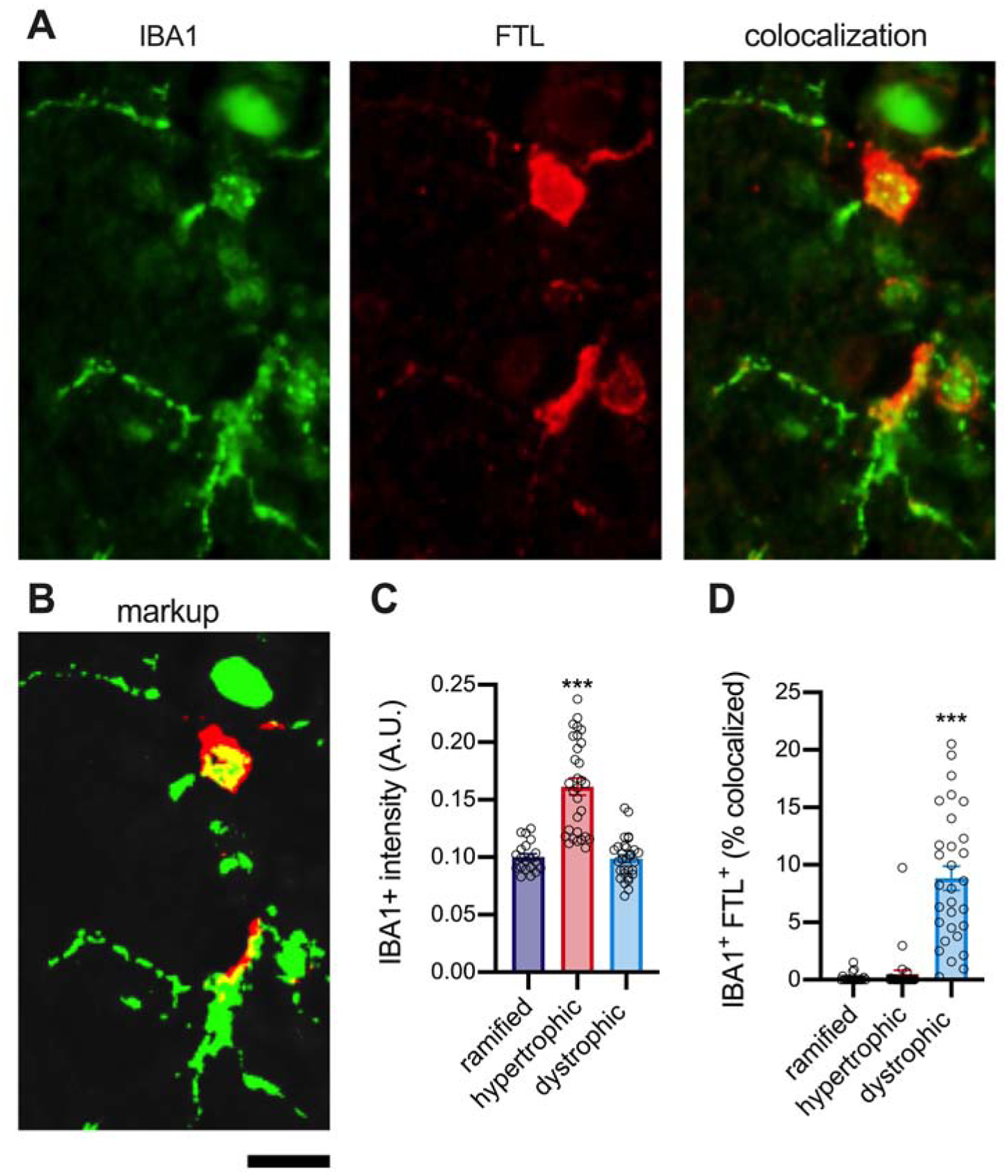 Figure 6: