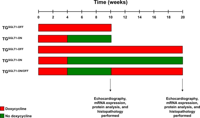 Figure 2.