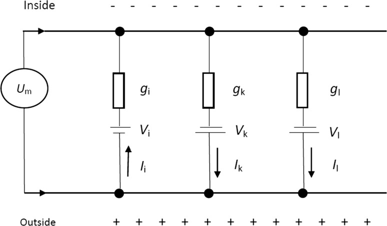 Fig. 4