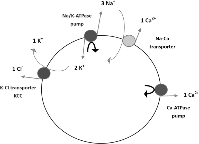 Fig. 2