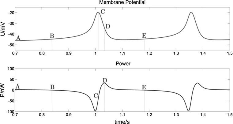 Fig. 6