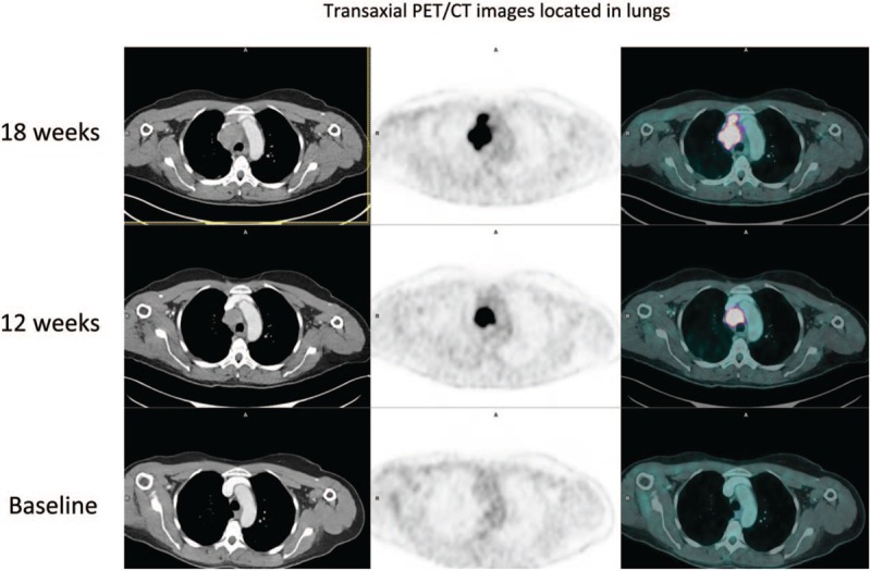 Figure 1 (Continued)