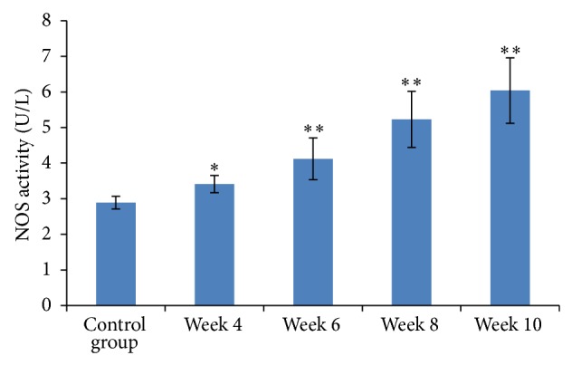 Figure 4