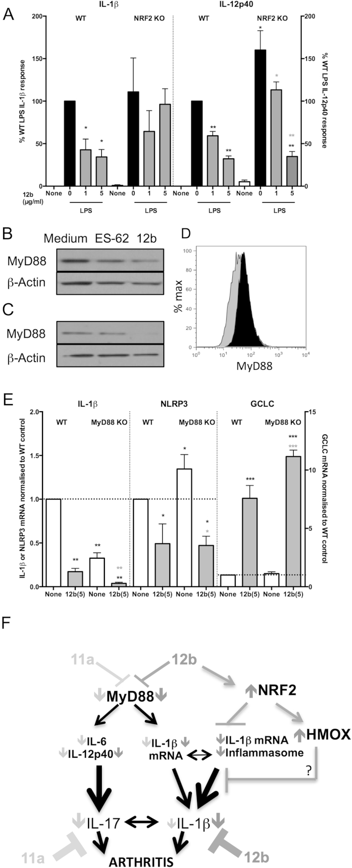 Fig. 8