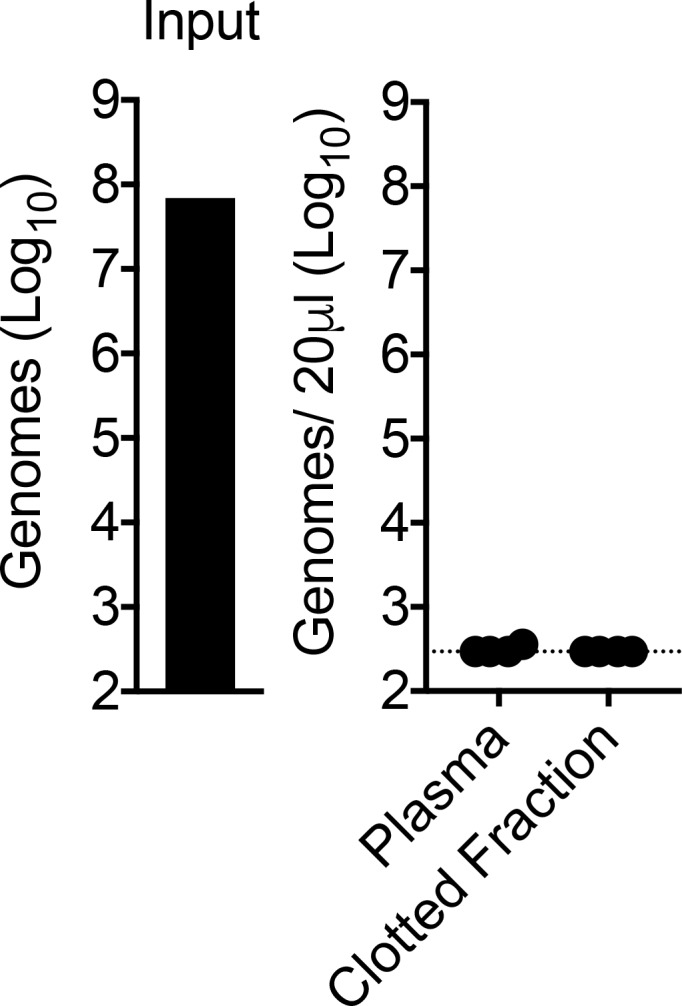 Figure 1—figure supplement 1.