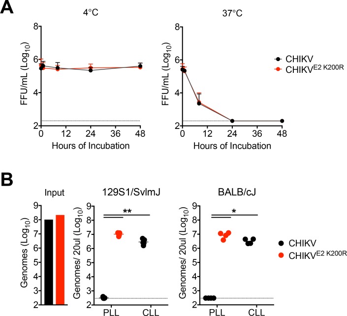 Figure 4—figure supplement 2.