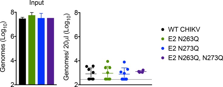 Figure 4—figure supplement 1.