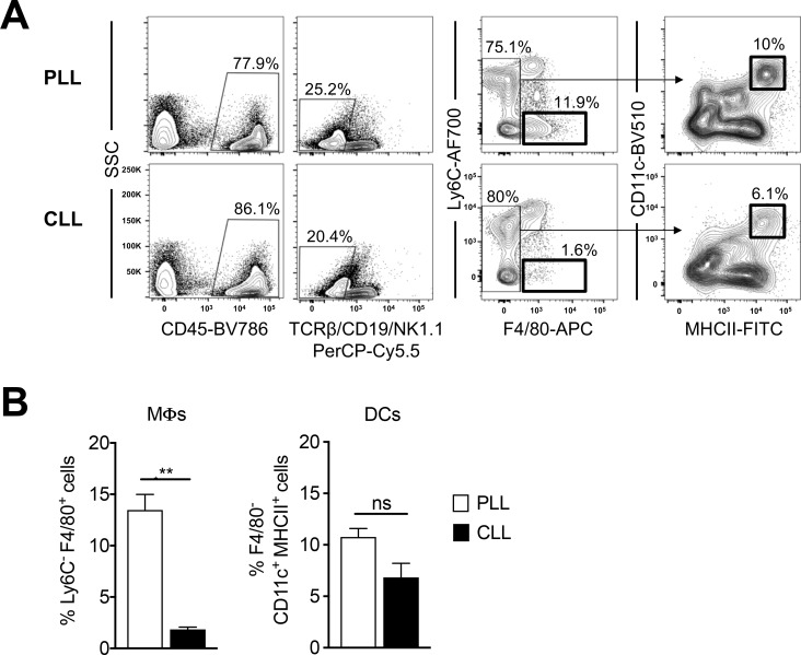 Figure 2—figure supplement 2.