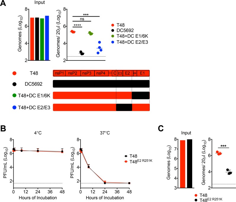 Figure 7—figure supplement 1.