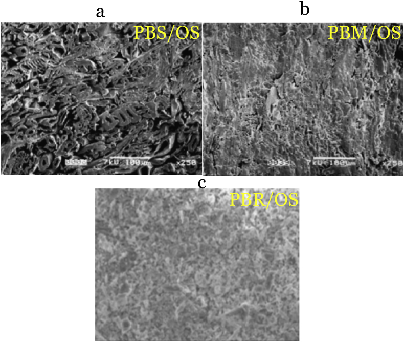 Figure 10