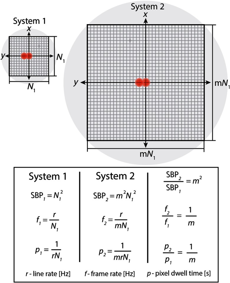 Fig. 10