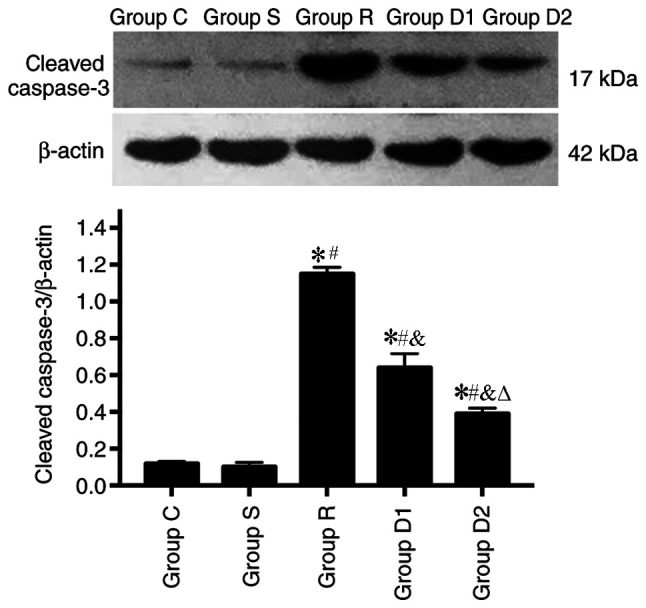 Figure 5.