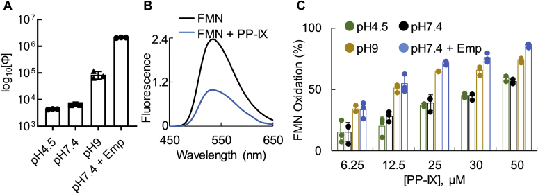 Figure 2