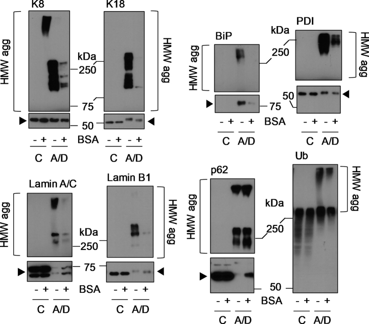 Figure 10