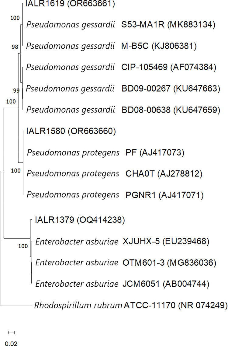 Fig 1