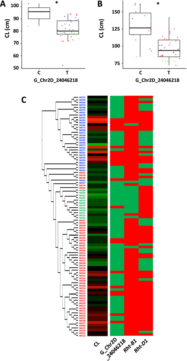 Fig. 5.