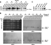 FIG. 7.
