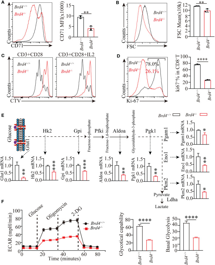 Figure 6