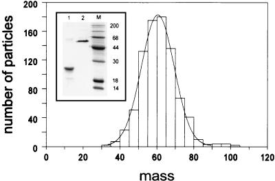 FIG. 6