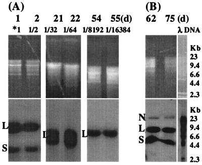 FIG. 3.